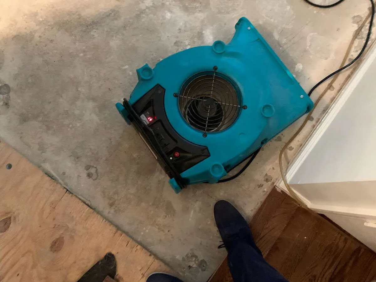 Air mover drying subfloor during Commercial Water Damage Restoration in Corvallis